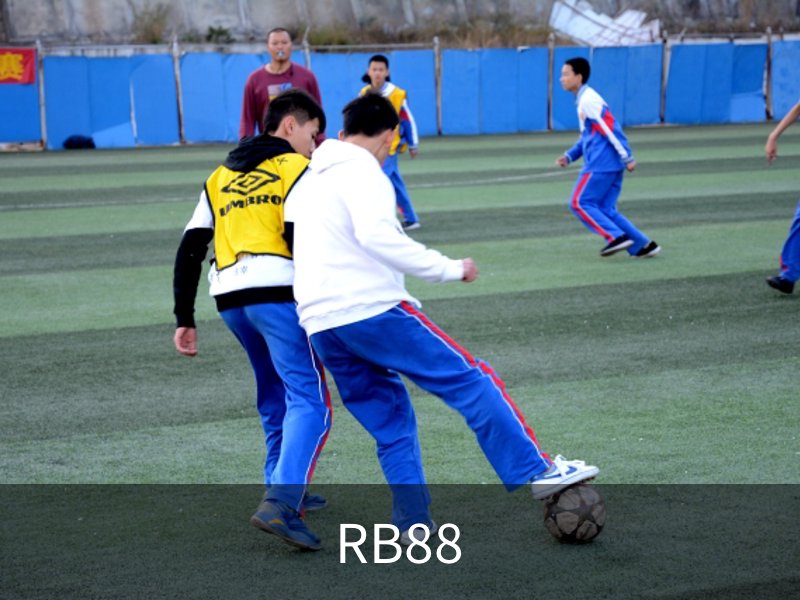 了解RB88